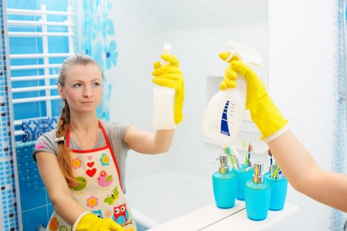 Professional window cleaning in Bow improving a home exterior