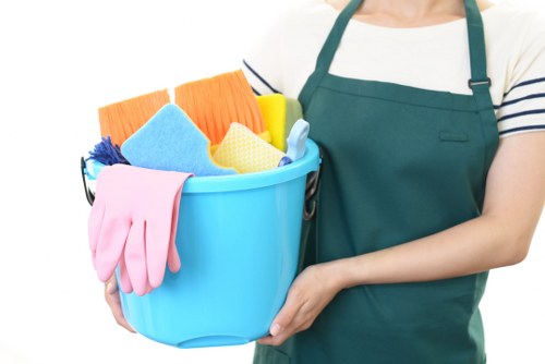 Cleaner in Bow providing professional home cleaning services