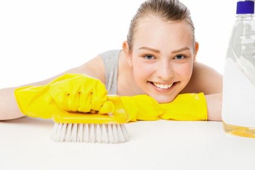 Domestic cleaning services in Bow for tidy and fresh living spaces