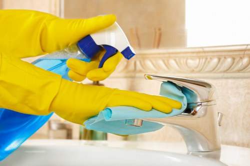 Oven cleaner in Bow cleaning oven racks and interior surfaces