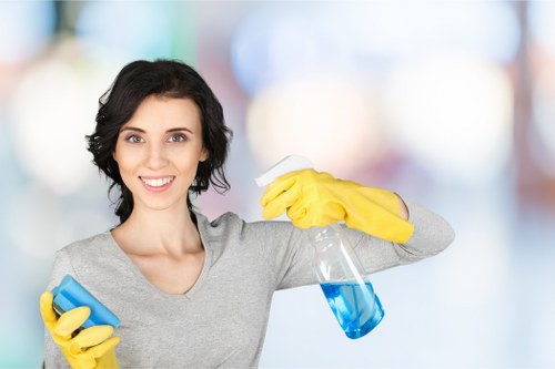 Kitchen deep cleaning details with focus on grease and fittings