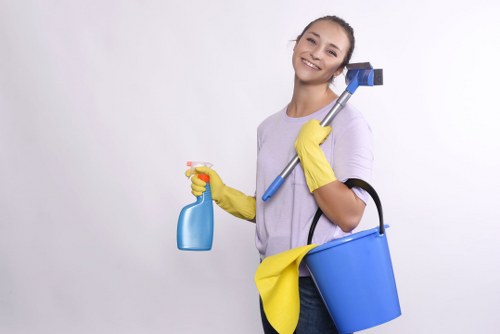 Domestic cleaning in Bow for a spotless kitchen