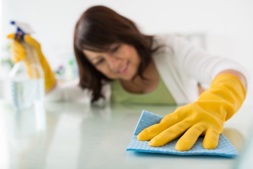 Accessibility request section for Deep Cleaning Bow information