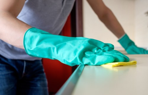 Thorough Bow deep clean across living spaces and high-touch surfaces