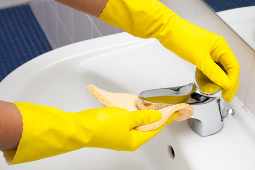 SSL encrypted payment process for Deep Cleaning Bow