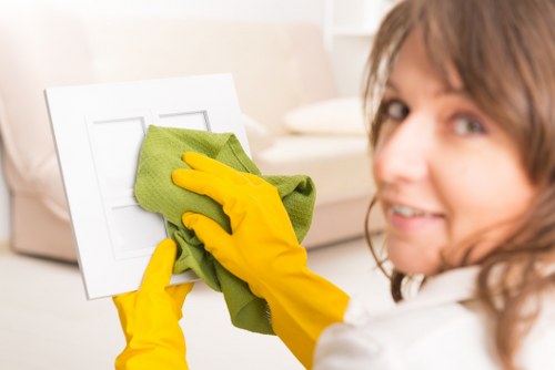 Professional oven cleaning results in Bow with a fresh, polished appliance